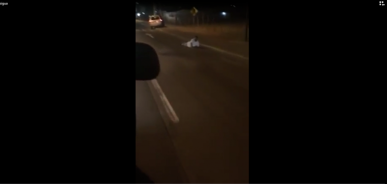 video de matanza en Siguatepeque