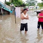 41656717_1663811623723547_8157297043010748416_n